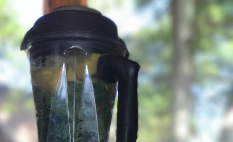 Vitamix container filled with green juice ingredients at the lake.