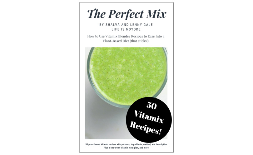 The Perfect Mix Vitamix Recipe Book by Shalva and Lenny Gale of Life is NOYOKE.