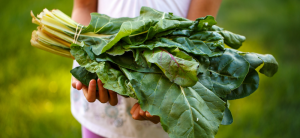 kid holding greens