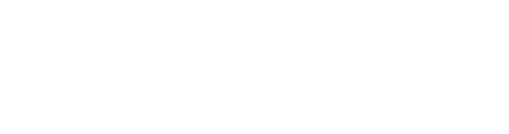 vitamix certified and authorized dealer and distributor