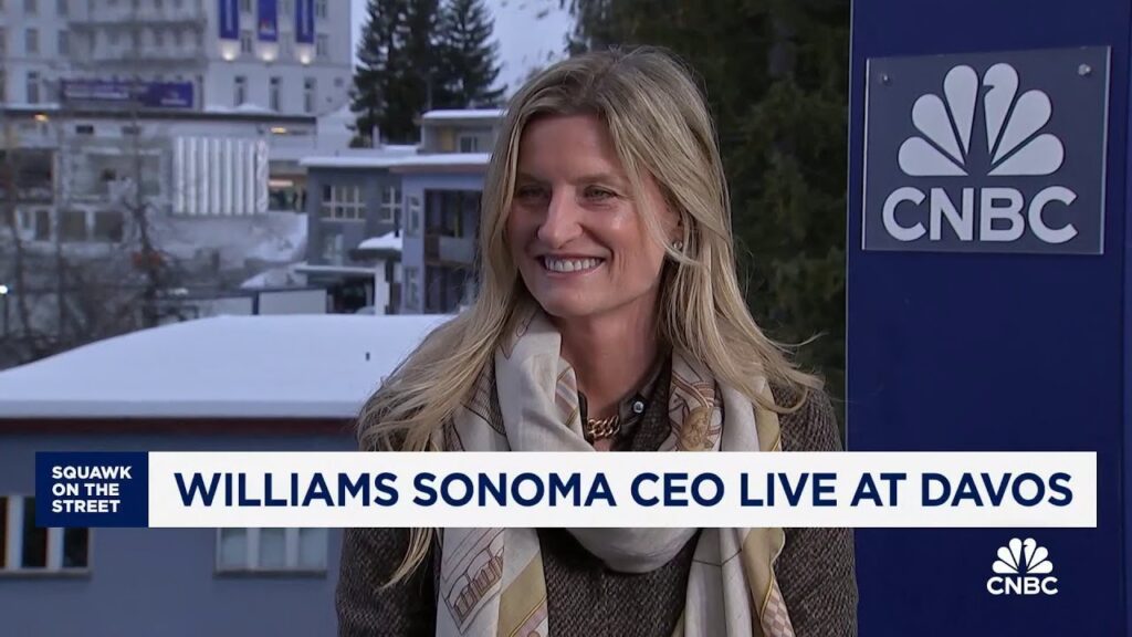 Vitamix retailer Williams sonoma CEO at Davos
